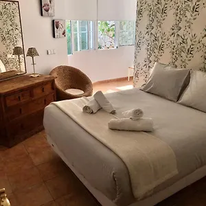 Nuevabanús Auto Check-in , Marbella España